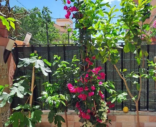 Lilibet Apartment Palermo