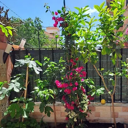 Lilibet Apartment Palermo